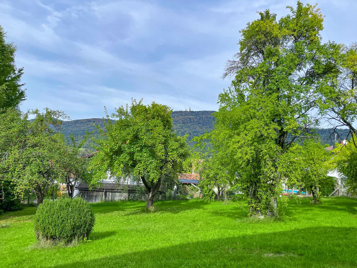 Traumhaftes Grundstück mit Bergblick in Hohenwarth!